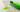 Blizzard Head…Why So Expensive??